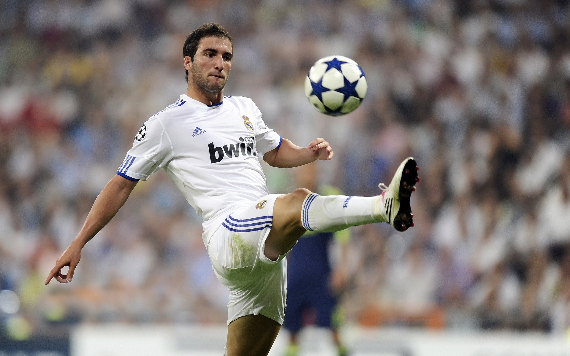 球迷“自制视频”火遍全网，那些精彩片段不能错过！，怎么制作球星视频